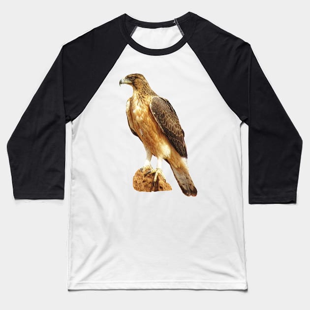 Snake-Eagle - Bird - Eagle in Africa Baseball T-Shirt by T-SHIRTS UND MEHR